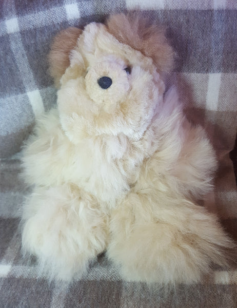 Alpaca Teddy Bear 13" - Multi-Colored