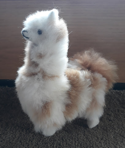 Alpaca with Booties