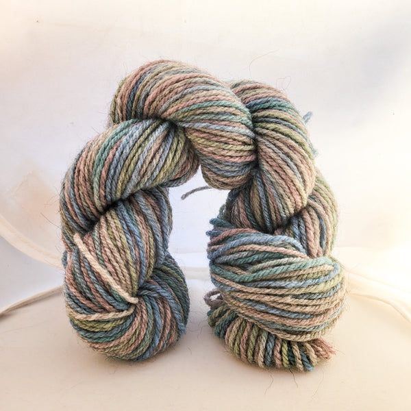 3 ply Worsted Multi colored yarn